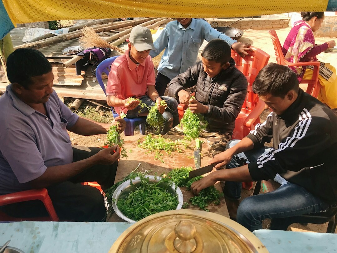 plate of salad with local ingredients
